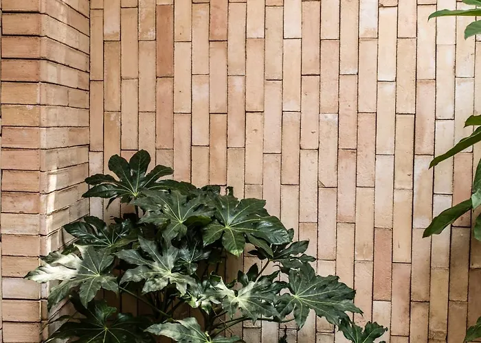 Casa Cuenca 酒店 墨西哥城