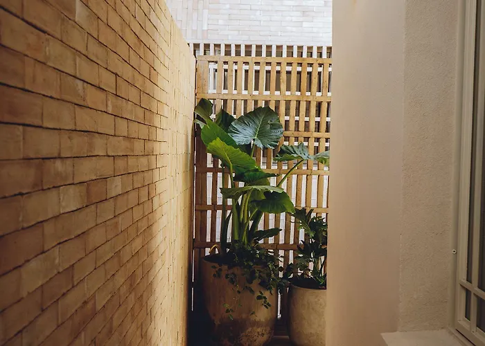 酒店 Casa Cuenca 墨西哥城